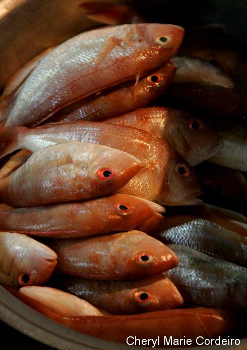 Denpasar Pasar, fish.