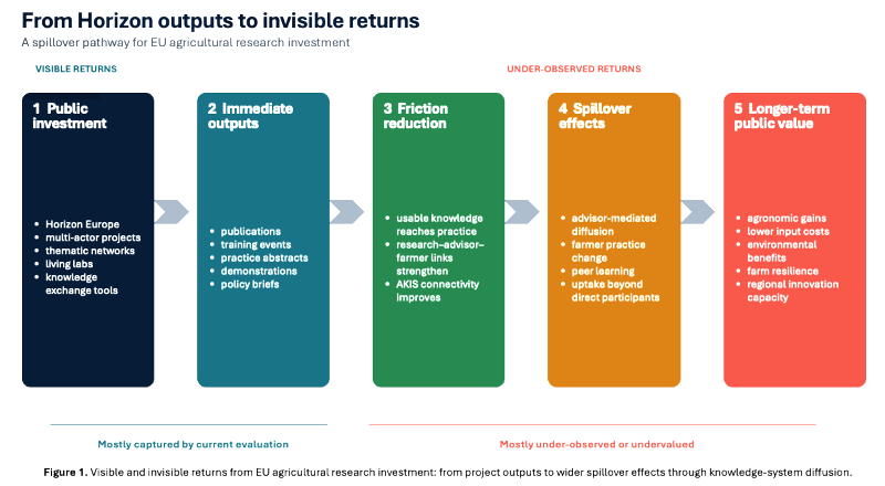 From Horizon outputs to invisible returns: a spillover pathway for EU agricultural research investment