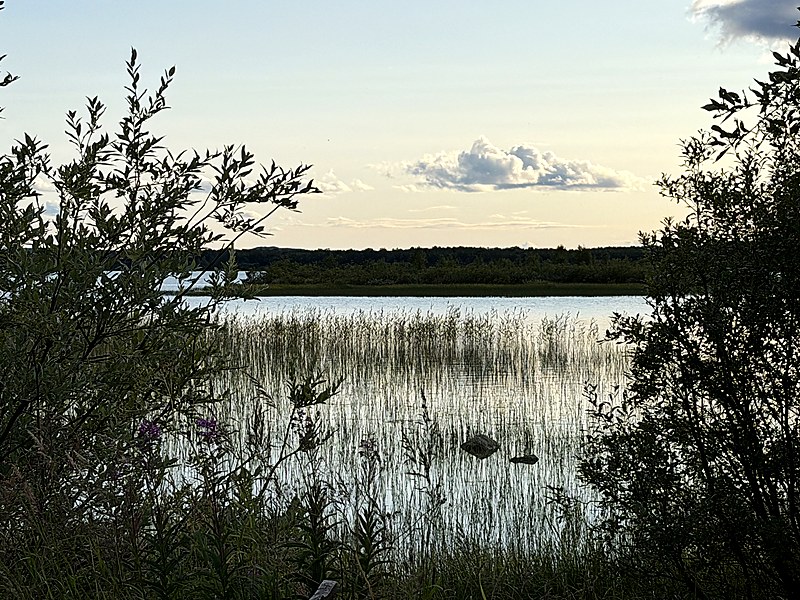 The Pasvik river at Svanvik in the evening