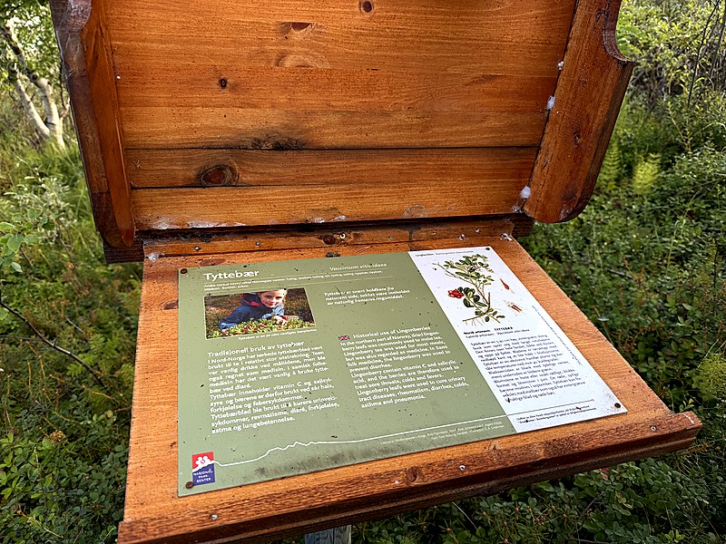 A wooden trail box opened at a panel about lingonberries